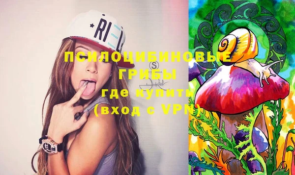 молекула духа Алзамай