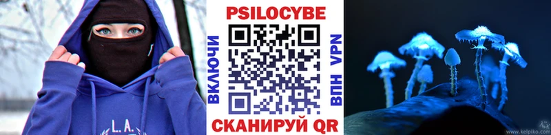 площадка состав  OMG вход  Духовщина  Галлюциногенные грибы Psilocybe 